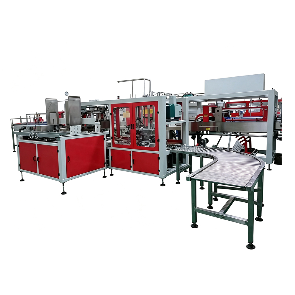 Carton Packing Machine